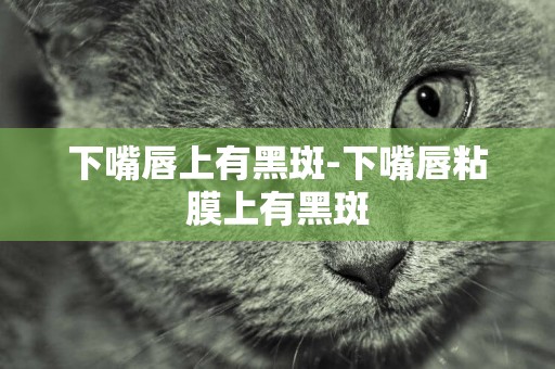 下嘴唇上有黑斑-下嘴唇粘膜上有黑斑