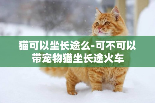 貓可以坐長途么-可不可以帶寵物貓坐長途火車