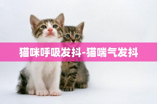 貓咪呼吸發抖-貓喘氣發抖
