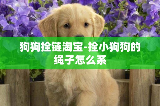 狗狗拴鏈淘寶-拴小狗狗的繩子怎么系