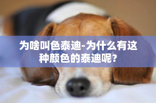 為啥叫色泰迪-為什么有這種顏色的泰迪呢？