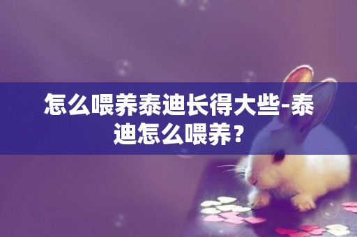 怎么喂養泰迪長得大些-泰迪怎么喂養？