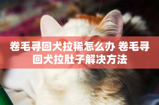 卷毛尋回犬拉稀怎么辦 卷毛尋回犬拉肚子解決方法