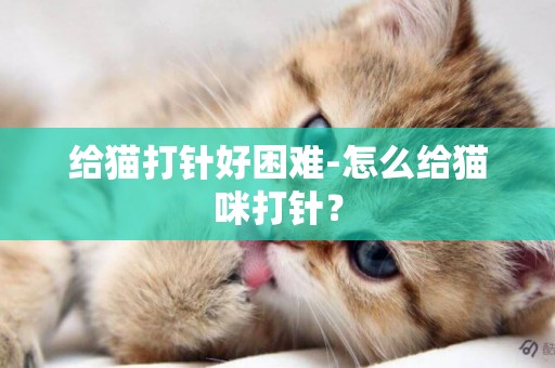 給貓打針好困難-怎么給貓咪打針？
