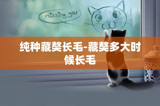 純種藏獒長毛-藏獒多大時候長毛