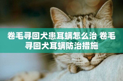 卷毛尋回犬患耳螨怎么治 卷毛尋回犬耳螨防治措施