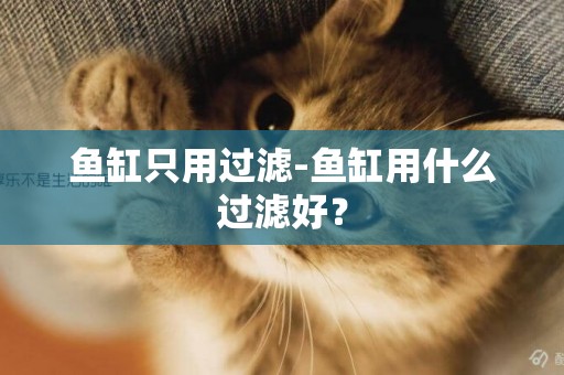 魚缸只用過濾-魚缸用什么過濾好？