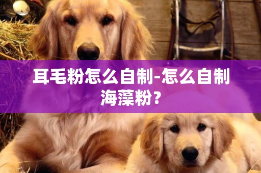 耳毛粉怎么自制-怎么自制海藻粉？
