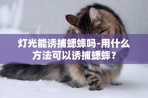 燈光能誘捕蟋蟀嗎-用什么方法可以誘捕蟋蟀？