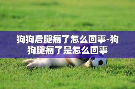 狗狗后腿瘸了怎么回事-狗狗腿瘸了是怎么回事