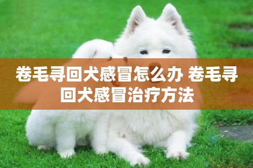 卷毛尋回犬感冒怎么辦 卷毛尋回犬感冒治療方法