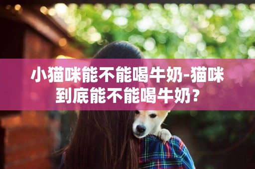 小貓咪能不能喝牛奶-貓咪到底能不能喝牛奶？