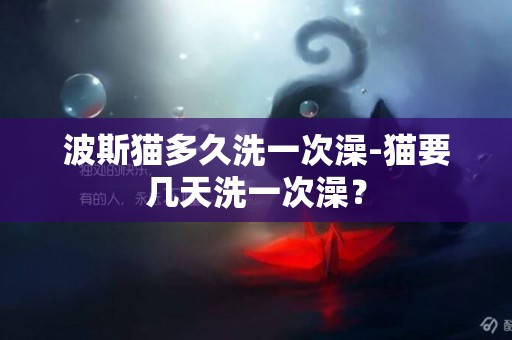 波斯貓多久洗一次澡-貓要幾天洗一次澡？