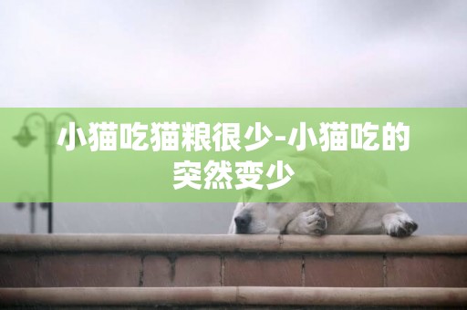 小貓吃貓糧很少-小貓吃的突然變少