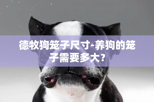 德牧狗籠子尺寸-養狗的籠子需要多大？