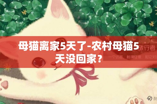母貓離家5天了-農村母貓5天沒回家？
