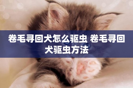 卷毛尋回犬怎么驅蟲 卷毛尋回犬驅蟲方法
