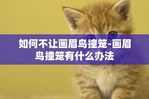 如何不讓畫眉鳥撞籠-畫眉鳥撞籠有什么辦法