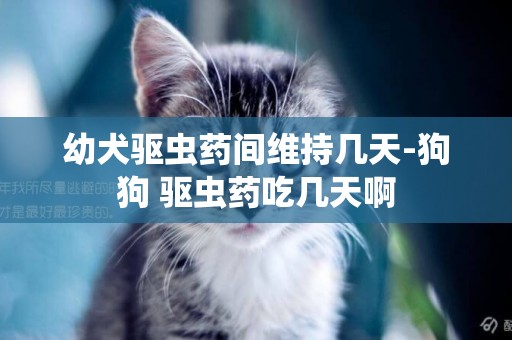 幼犬驅蟲藥間維持幾天-狗狗 驅蟲藥吃幾天啊