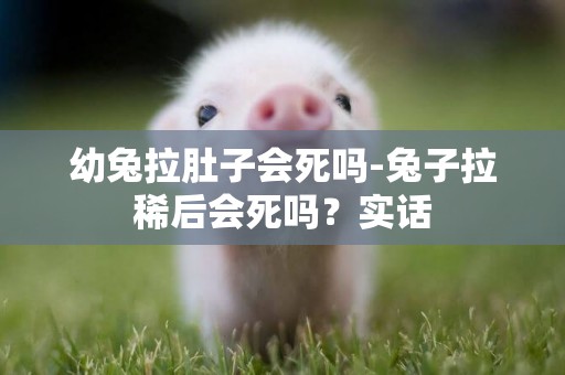幼兔拉肚子會死嗎-兔子拉稀后會死嗎？實話