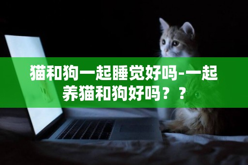 貓和狗一起睡覺好嗎-一起養貓和狗好嗎？？