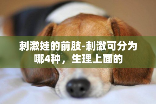 刺激娃的前肢-刺激可分為哪4種，生理上面的