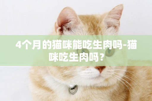 4個月的貓咪能吃生肉嗎-貓咪吃生肉嗎？