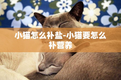 小貓怎么補鹽-小貓要怎么補營養