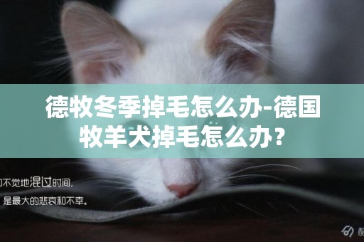 德牧冬季掉毛怎么辦-德國牧羊犬掉毛怎么辦？