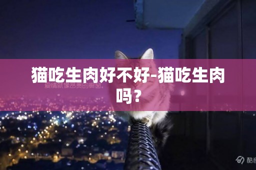 貓吃生肉好不好-貓吃生肉嗎？