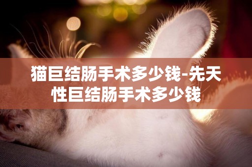 貓巨結腸手術多少錢-先天性巨結腸手術多少錢