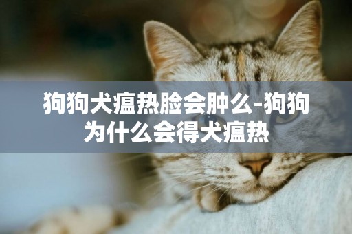 狗狗犬瘟熱臉會腫么-狗狗為什么會得犬瘟熱