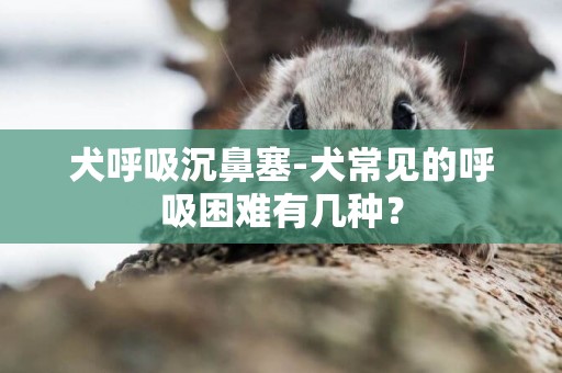 犬呼吸沉鼻塞-犬常見的呼吸困難有幾種？