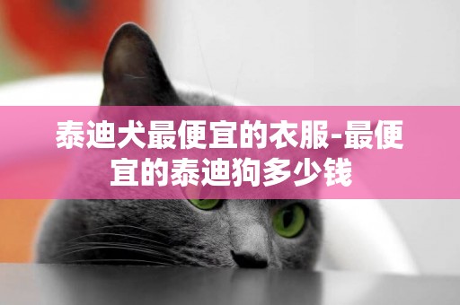 泰迪犬最便宜的衣服-最便宜的泰迪狗多少錢