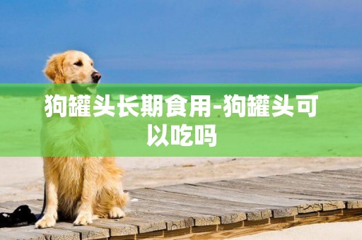 狗罐頭長期食用-狗罐頭可以吃嗎