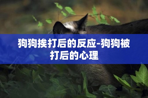 狗狗挨打后的反應-狗狗被打后的心理