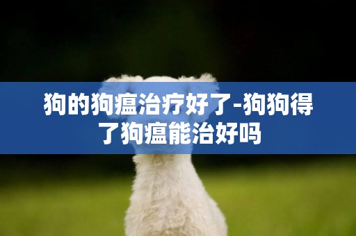 狗的狗瘟治療好了-狗狗得了狗瘟能治好嗎