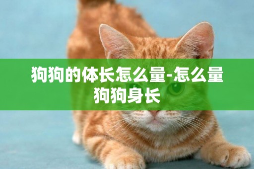 狗狗的體長怎么量-怎么量狗狗身長