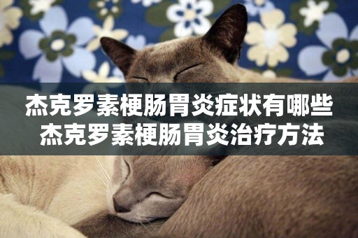 杰克羅素梗腸胃炎癥狀有哪些 杰克羅素梗腸胃炎治療方法