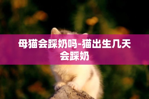 母貓會踩奶嗎-貓出生幾天會踩奶