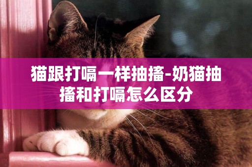 貓跟打嗝一樣抽搐-奶貓抽搐和打嗝怎么區分