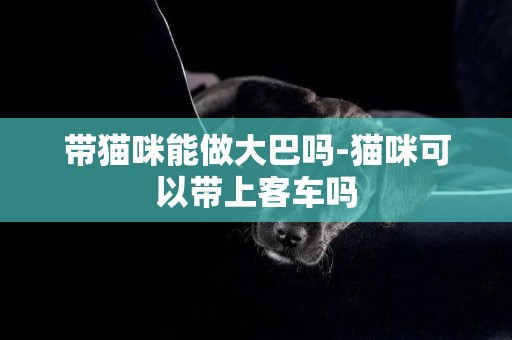 帶貓咪能做大巴嗎-貓咪可以帶上客車嗎
