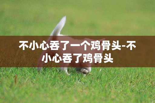 不小心吞了一個雞骨頭-不小心吞了雞骨頭