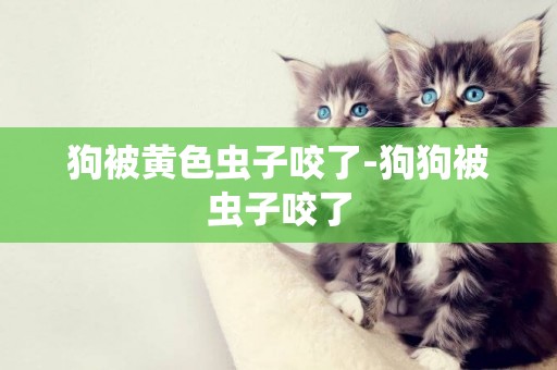 狗被黃色蟲子咬了-狗狗被蟲子咬了