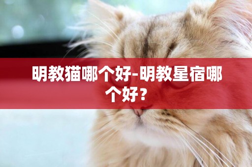 明教貓哪個好-明教星宿哪個好？