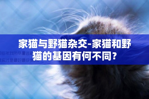 家貓與野貓雜交-家貓和野貓的基因有何不同？