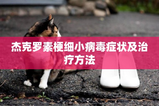 杰克羅素梗細小病毒癥狀及治療方法