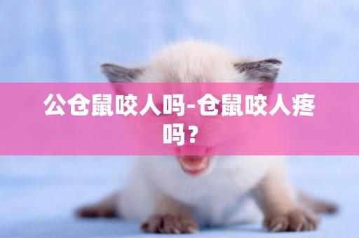 公倉鼠咬人嗎-倉鼠咬人疼嗎？