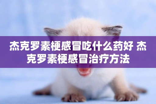 杰克羅素梗感冒吃什么藥好 杰克羅素梗感冒治療方法