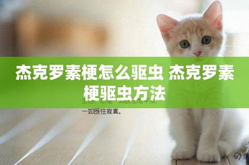 杰克羅素梗怎么驅蟲 杰克羅素梗驅蟲方法